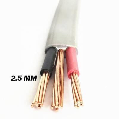 2.5mm Twin with Earth Cable